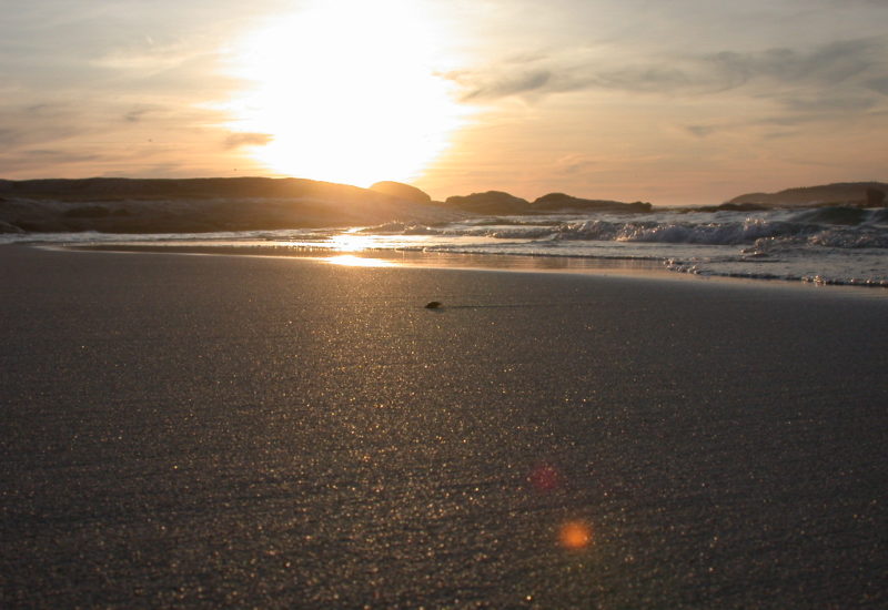 Sunset in Camps Bay am Strand