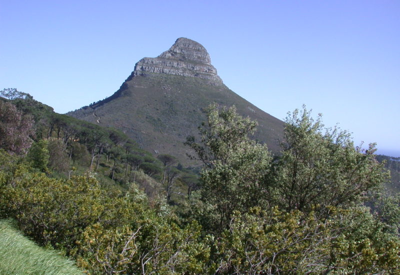 Tabe-Mountain / Lions head