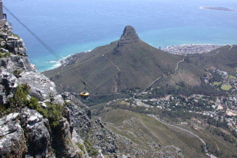 Lionshead